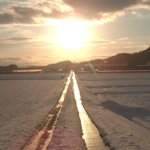 実現したい夢やライフスタイルを手に入れ、思い描いていた以上の幸せな生活をおくっています