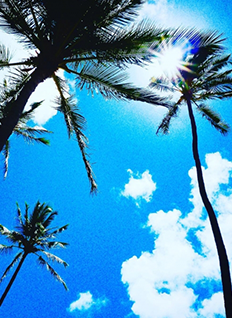 金運・財運が上がる「豊かさのホ・オポノポノ」